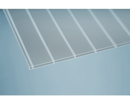 Gutta Acryl Holle Kamerplaat/Dubbelwandige Plaat Panorama 96-16 helder 3500 mm x 980 mm x 16 mm