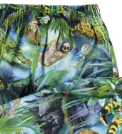 Molo Regenhose - Waits - Jungle Life