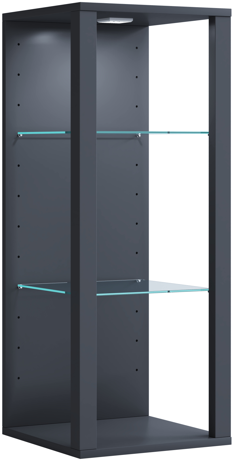 Wandvitrine GLASOL MW - anthrazit - 35x90 cm