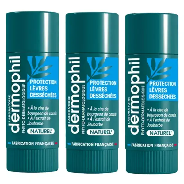 Dermophil Indien Organic Dry Lip Protection Sticks, Pacote com 3 unidades de 4g