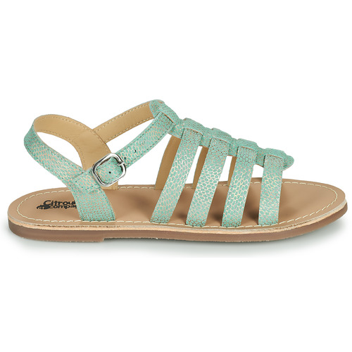 Citrouille et Compagnie - MAYANA - Turquoise