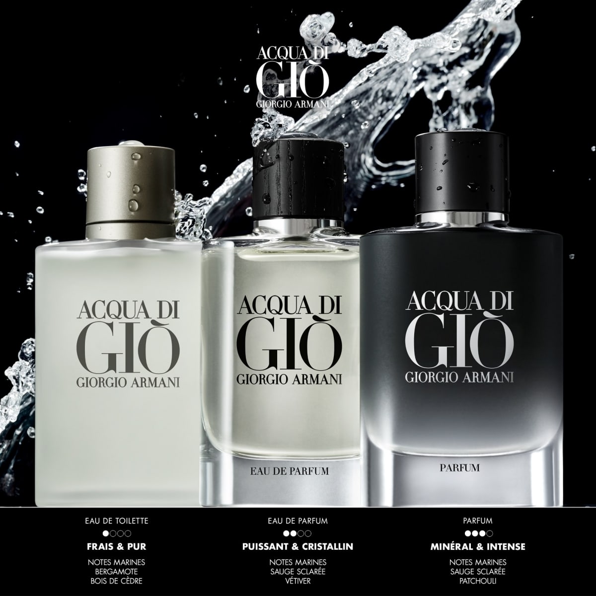 GIORGIO ARMANI Acqua di Giò Parfum