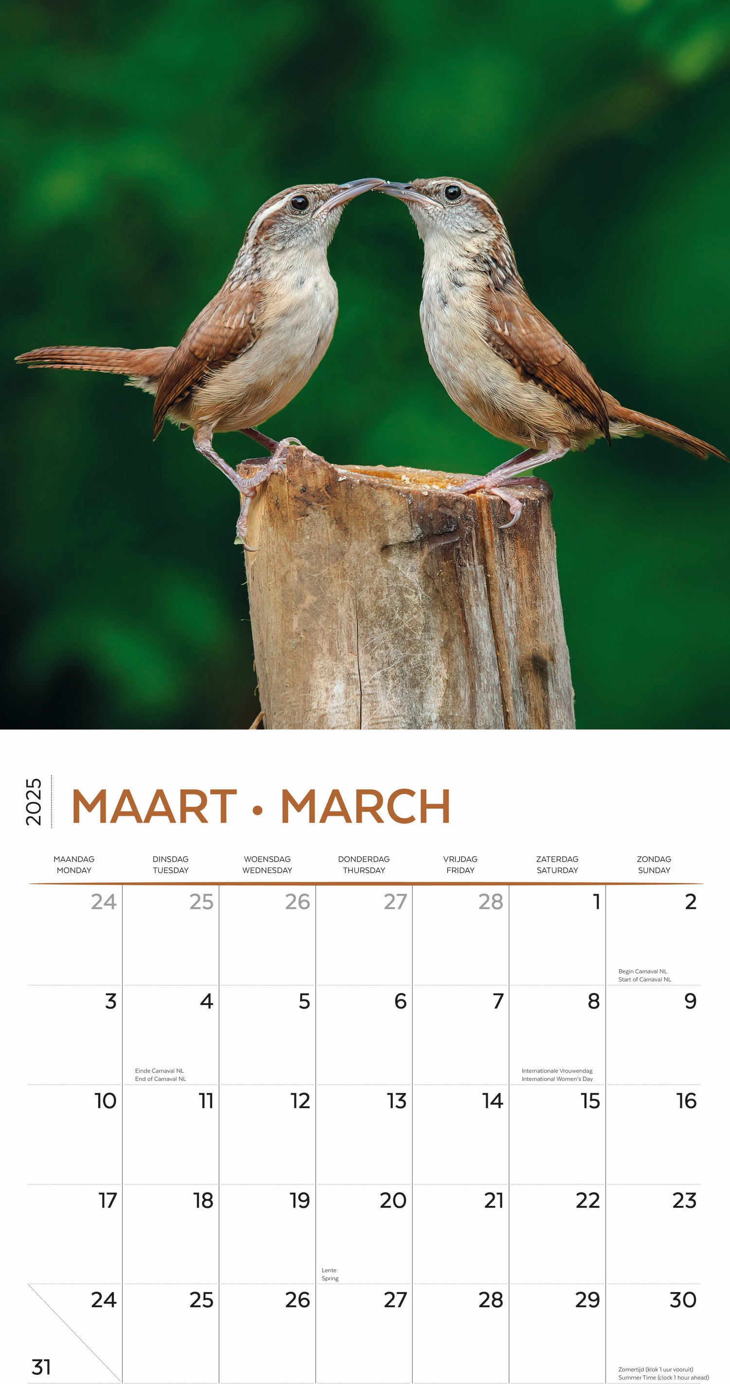 Plenty Gifts kalender garden birds 30 x 30 x 0,5 cm