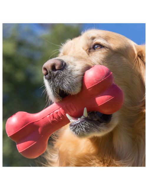 Kong Goodie Bone - Hondenspeelgoed