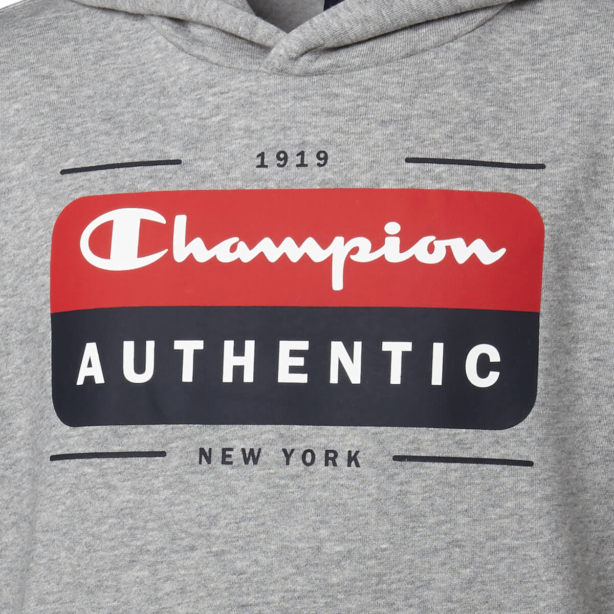 Champion Authentic Hættetrøje Børn