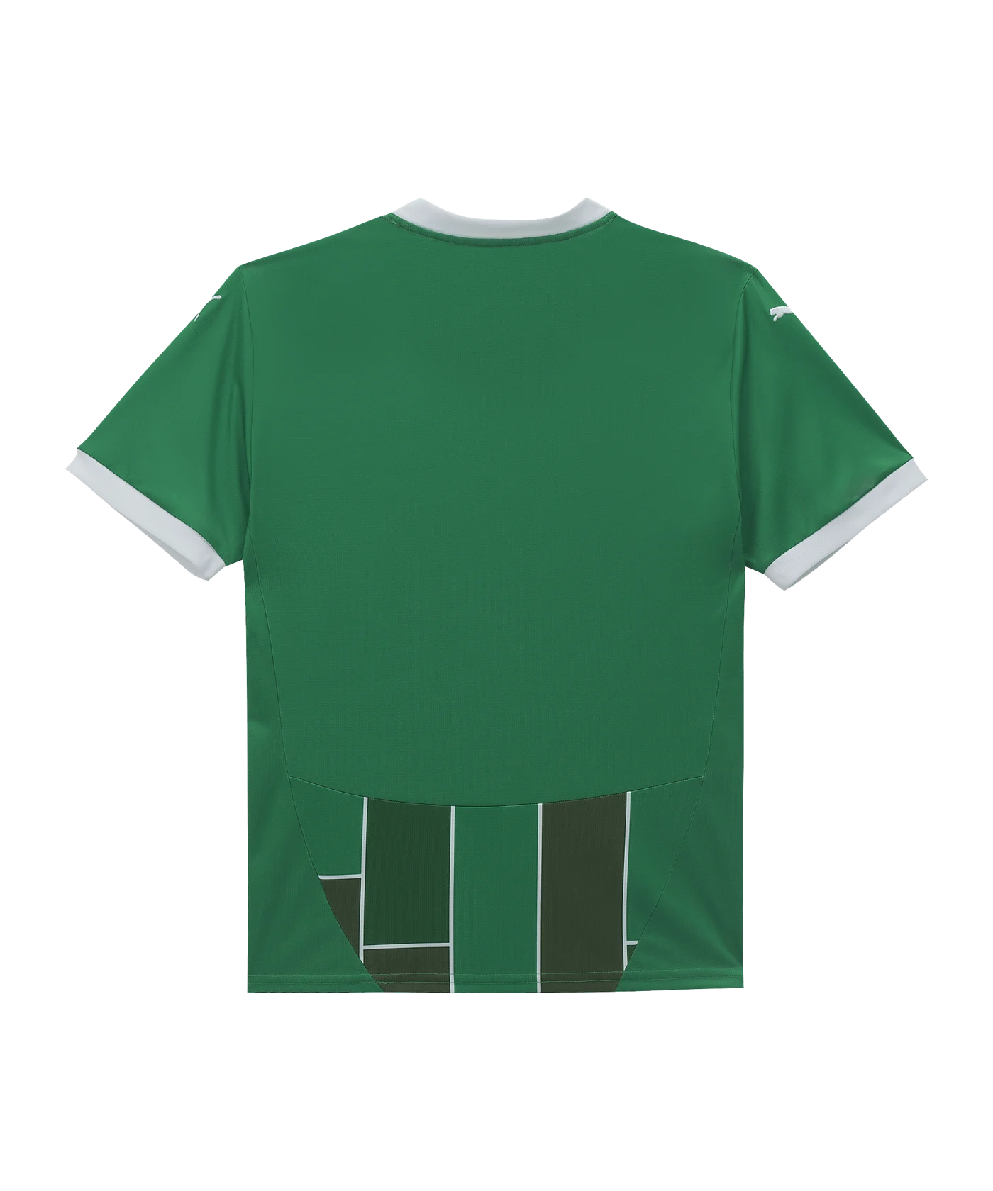 PUMA SK Rapid Trikot Home 2024/2025 Grün F01