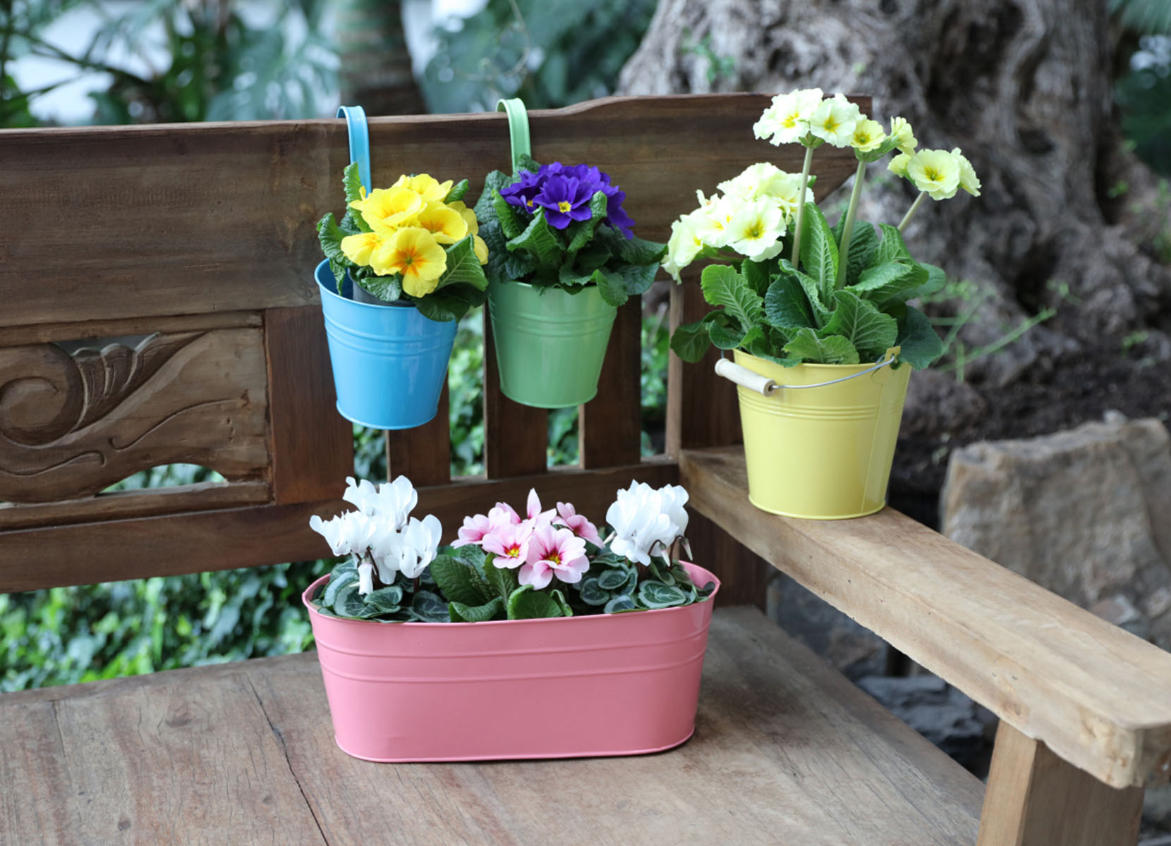 Blumentopf mit Haken 13x28cm Bunt