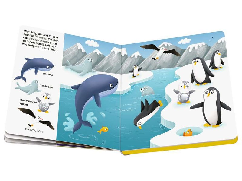play  Mein allererstes Soundbuch: Tierkinder Tier-Such-Spass mit süssen Geräuschen