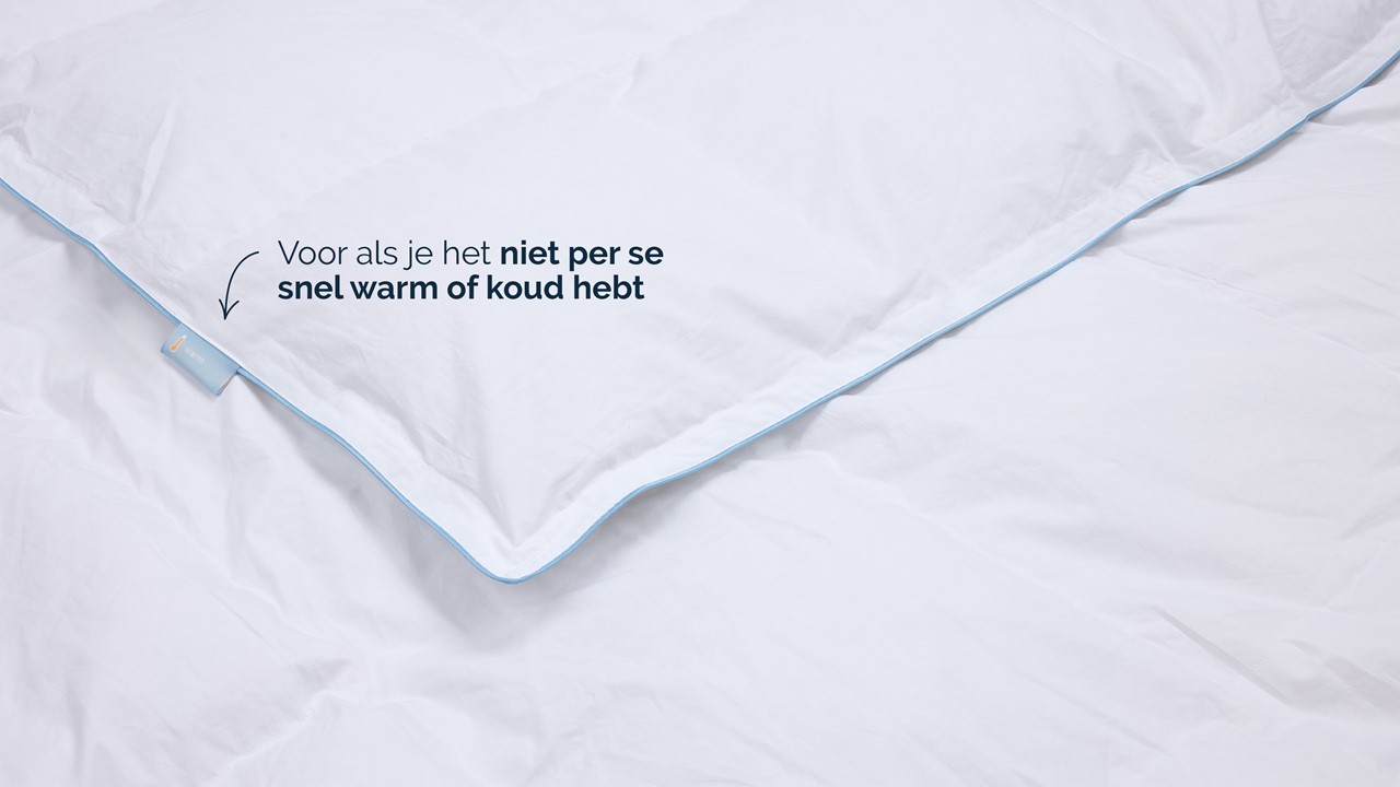 B Bright voor-/ najaar dekbed 60% dons