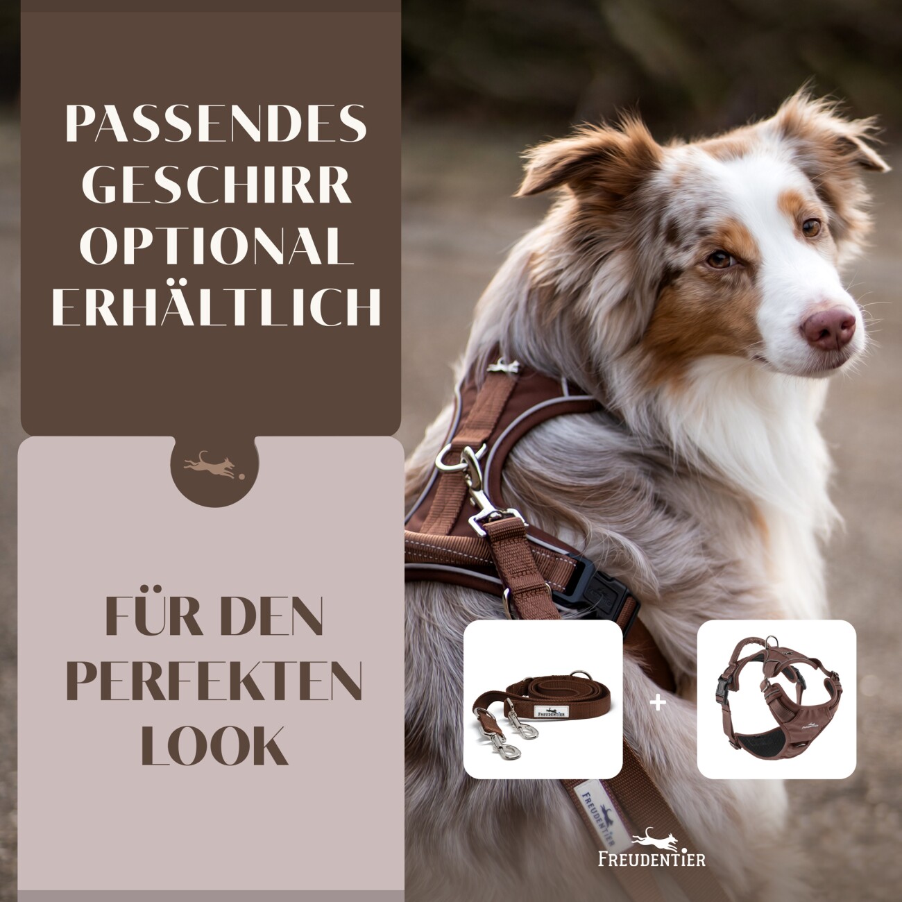 Freudentier Hundeleine 2m, gepolstert & verstellbar braun 2 cm