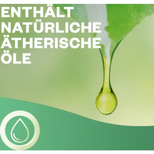24 / 7 Active Fresh Aerosolfreies Automatisches Duftspray Nachfüller Jasminblüte