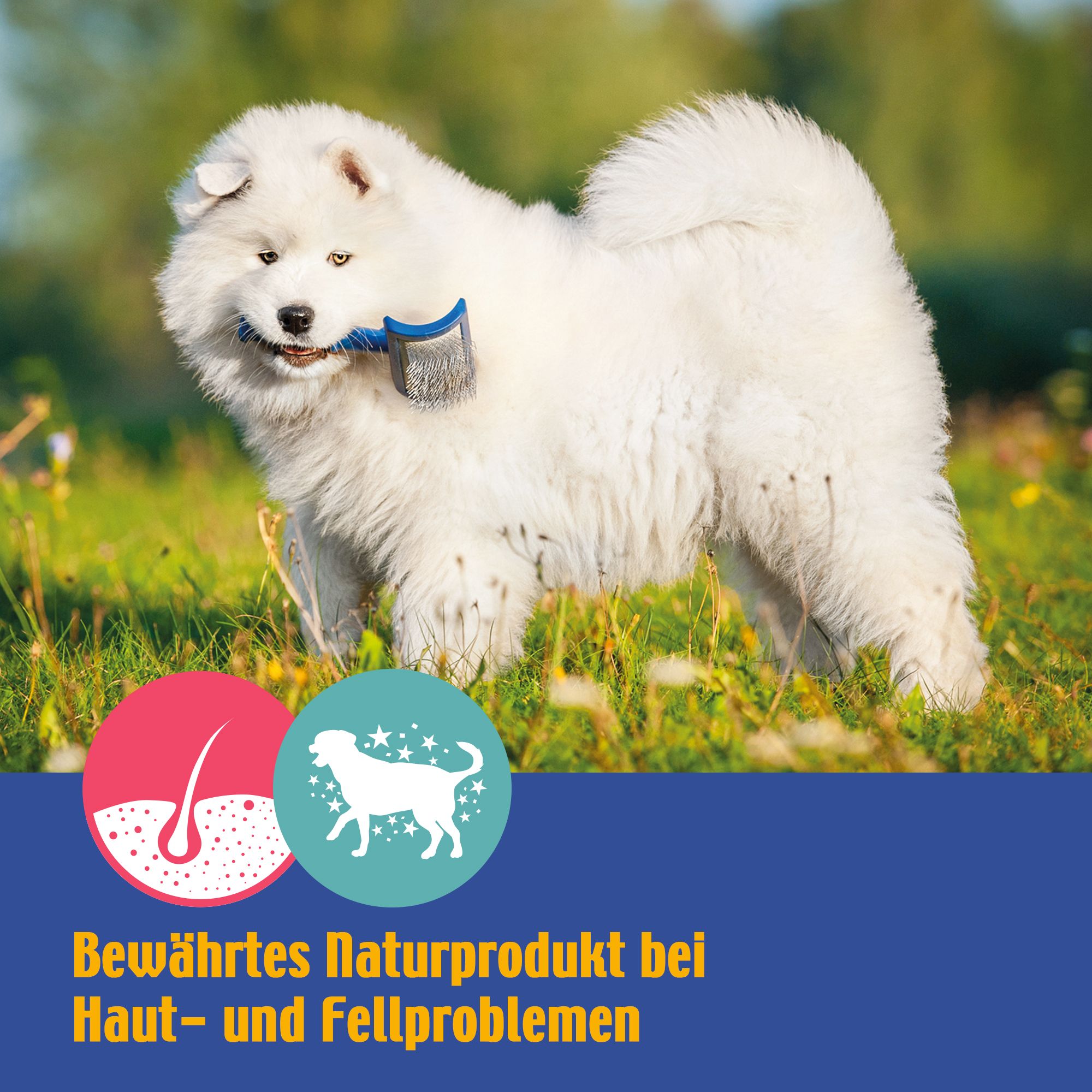 Schecker Hundefutter - flüssige Bierhefe