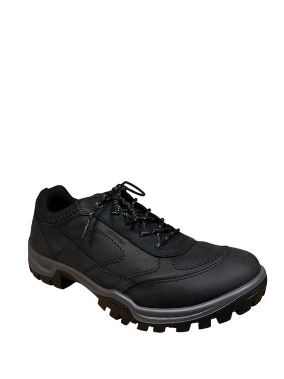 Ecco 811434 XPEDITION black