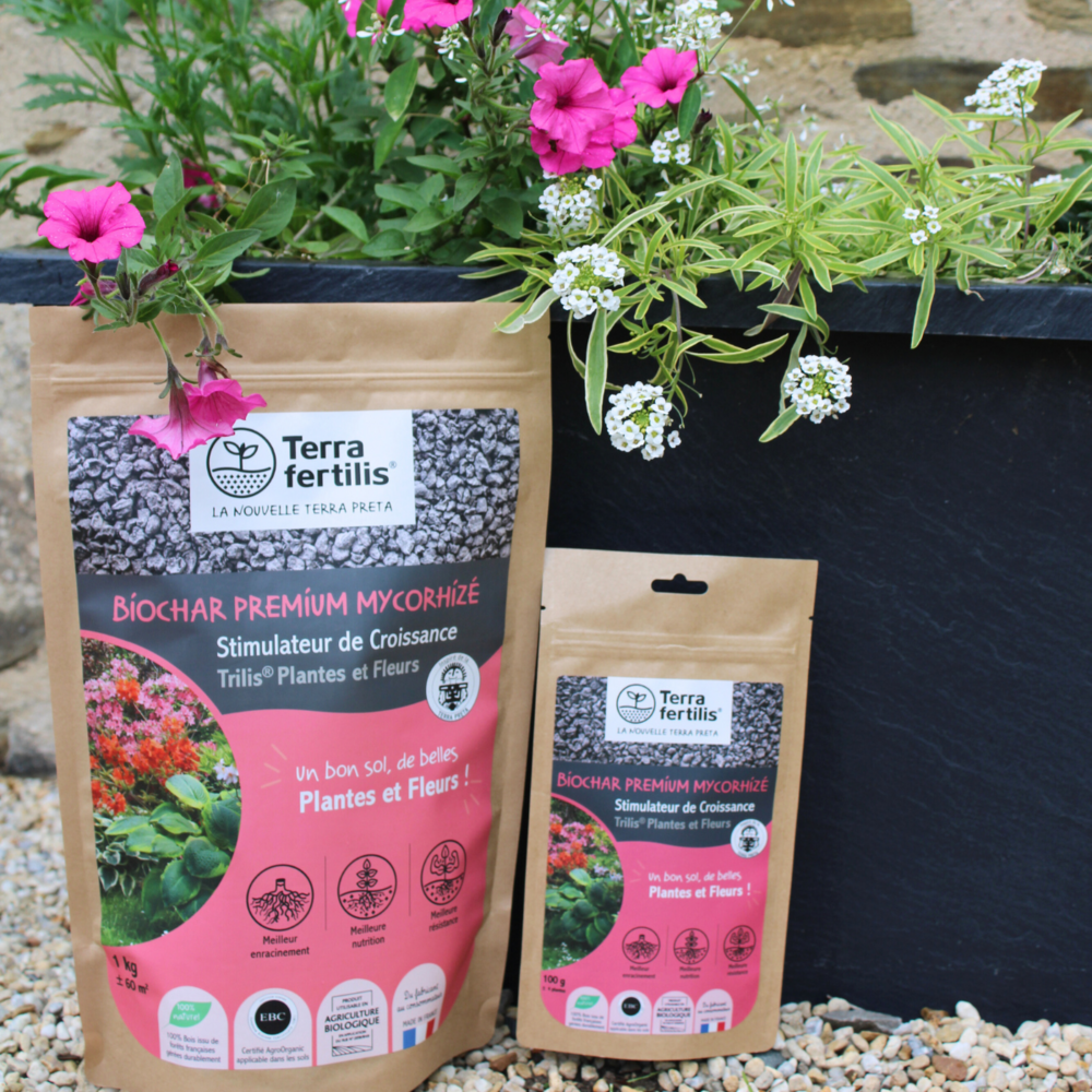 Fertilisant plantes et fleurs à base de mycorhizes - 1 kg