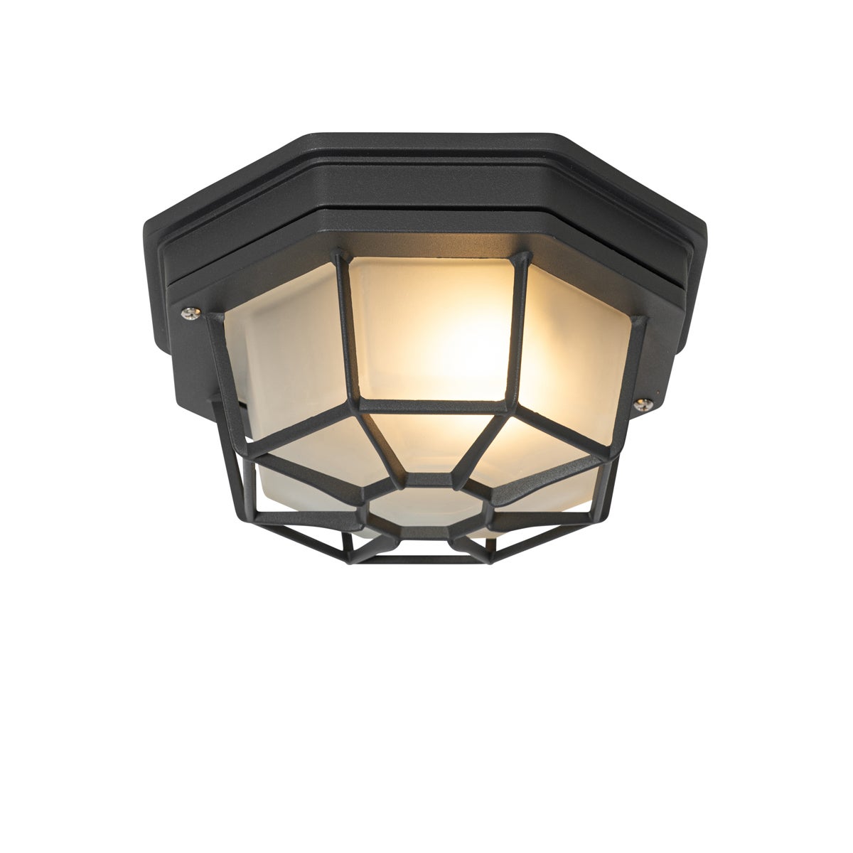 Landelijke plafondlamp, donkergrijs, IP44 - Bri S