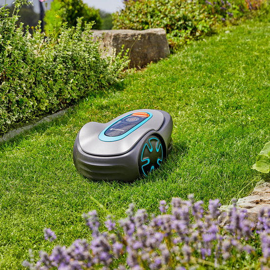 Tondeuse Robot Sileno Minimo 500M² Bluetooth
