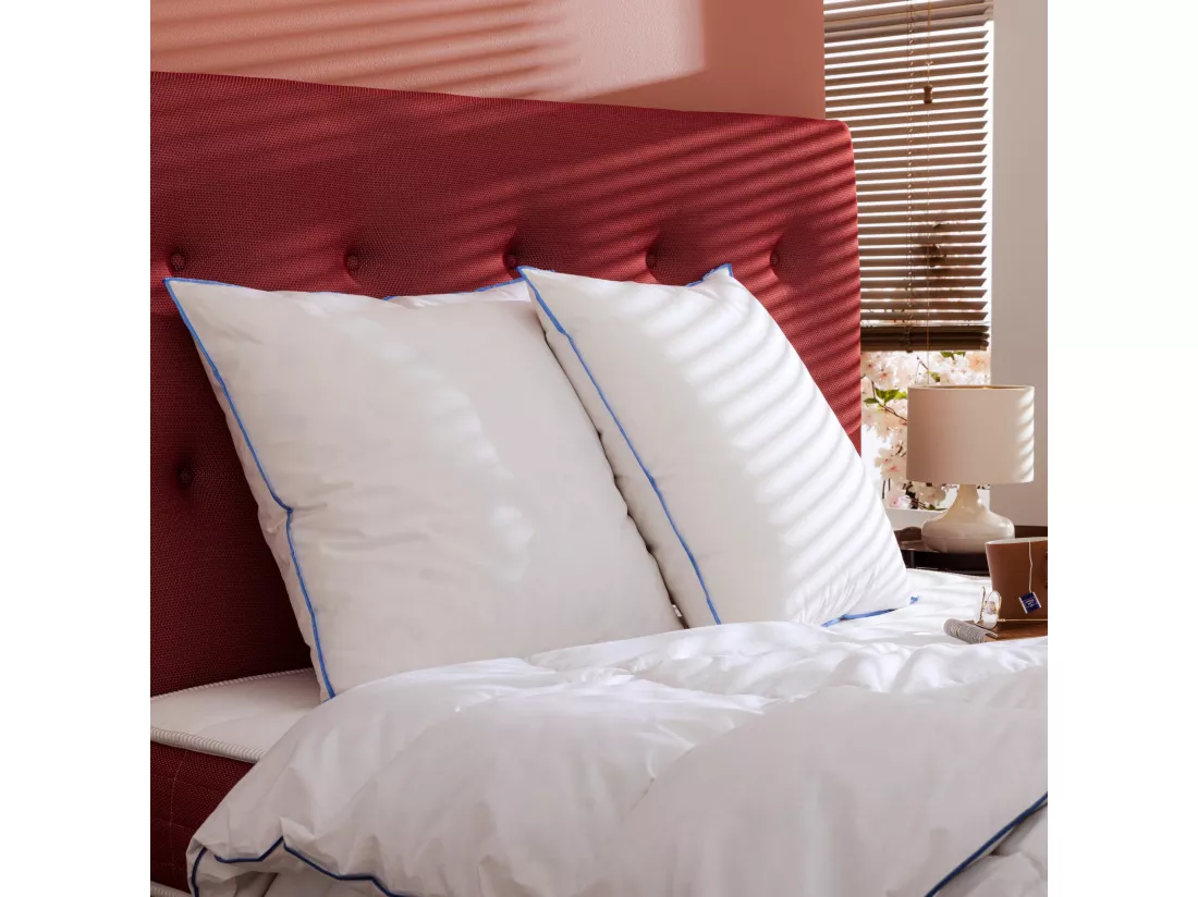 Lot de 2 oreillers moelleux duvet de canard anti-allergènes Someo 60x60