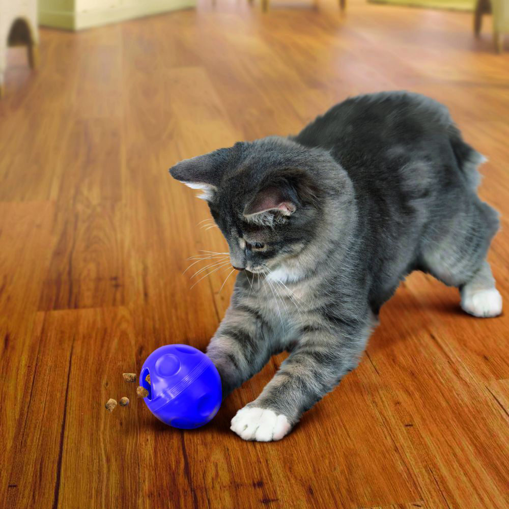 KONG Kat - Treat Ball