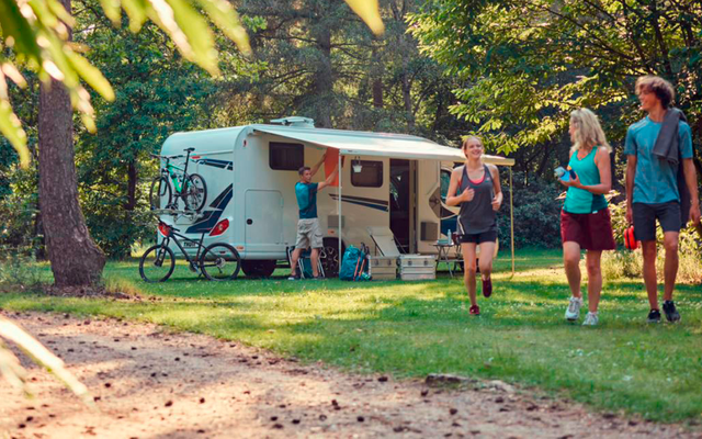 Thule Omnistor 5200 Wandmarkise mit Motor Gehäusefarbe Eloxiert Tuchfarbe Mystic Grau