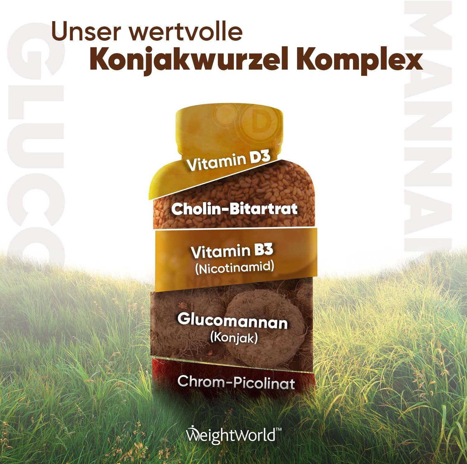 WeightWorld Glucomannan Komplex - Konjak