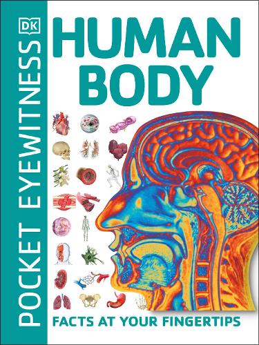 Pocket Eyewitness Human Body: Facts at Your Fingertips - Pocket Eyewitness (Paperback)