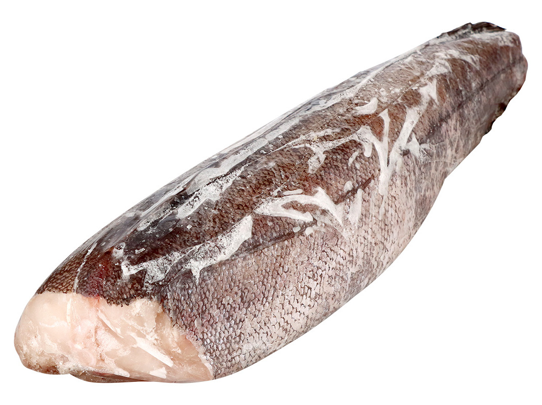 PESCADA do CHILE CONGELADA SEM CABEÇA 800G A 1200G