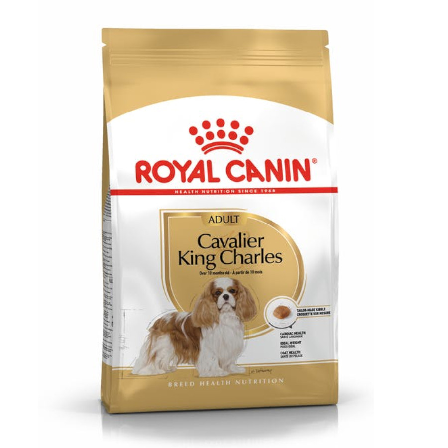 Ração Royal Canin Adult Cavalier King Charles para cães.
