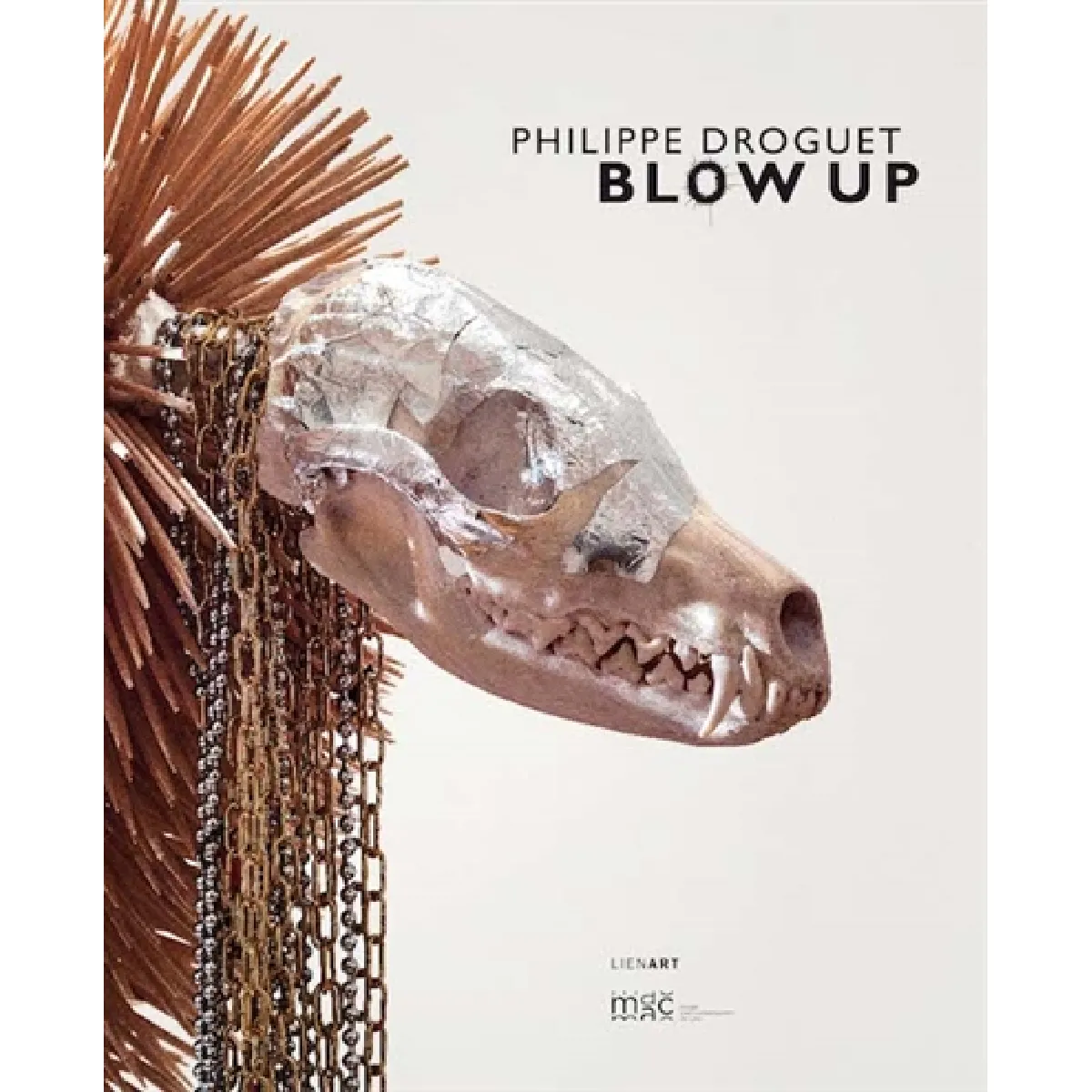 Philippe Droguet : Blow up : exposition, Lyon, Musée d'art contemporain, du 25 mai au 21 juillet 2013 · Occasion