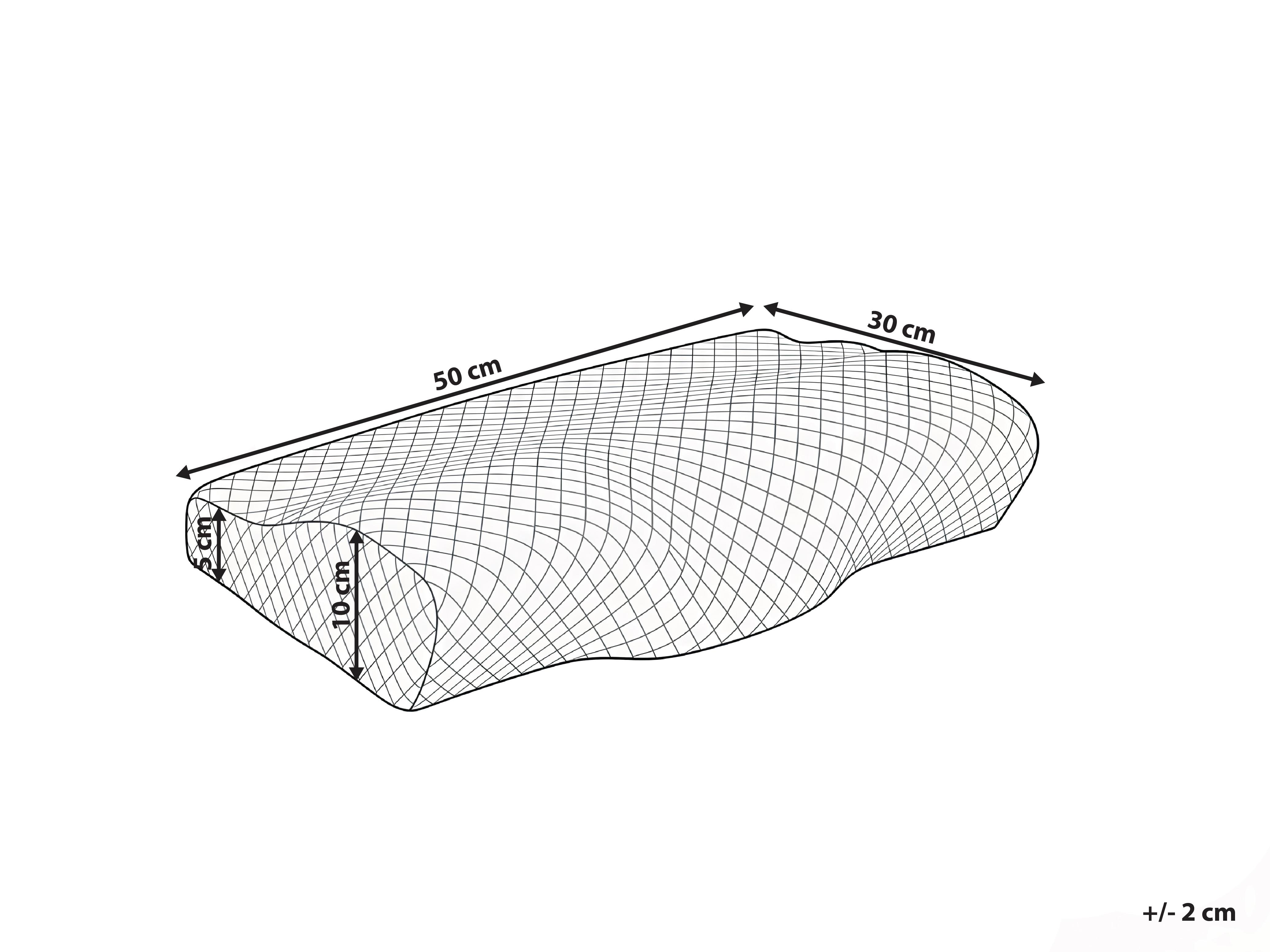 Hoofdkussen ELGON Laag Traagschuim 30 x 50 cm Wit