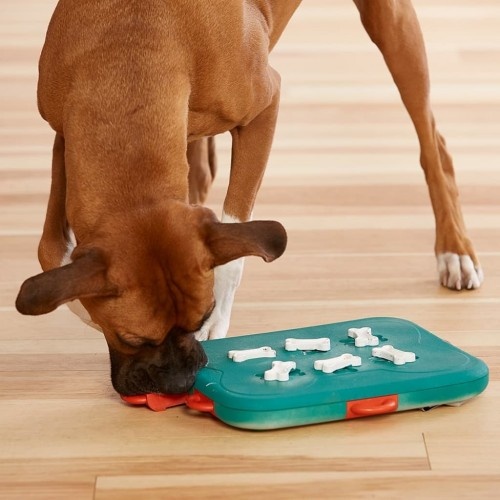 Brinquedo interativo para cães nas cores azul e vermelha.