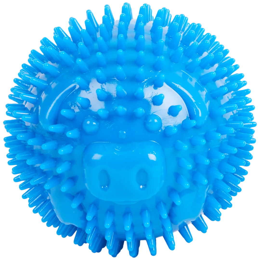Balle pour chien Beasty