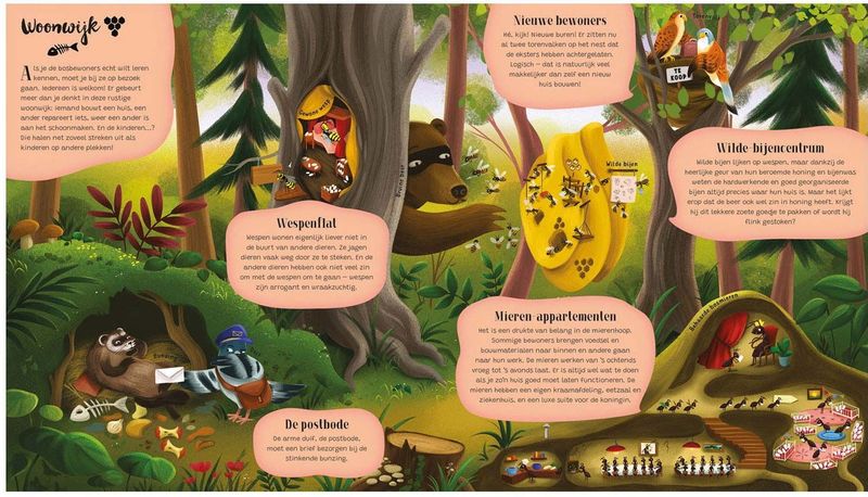 Boeken - Een kijkje in het Dierenbos