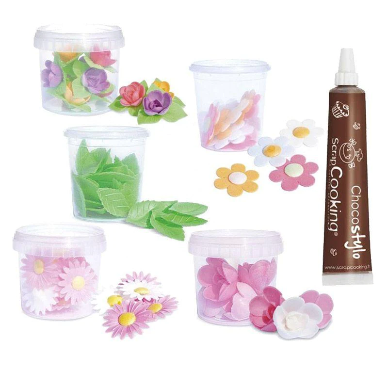Coffret décors azyme feuilles et fleurs + 1 Stylo chocolat Scrapcookin