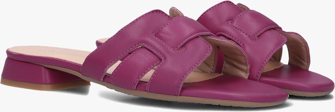 paarse lina locchi slippers s3048