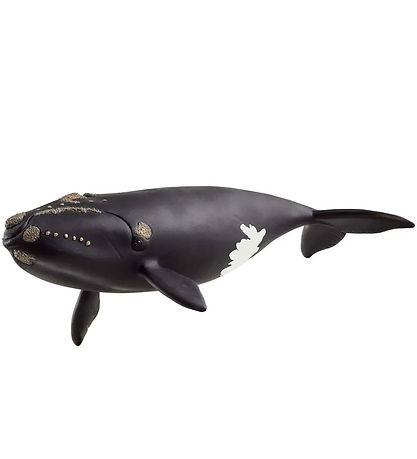 Schleich Wild Life - Glattwal - 19,5 cm - 14878