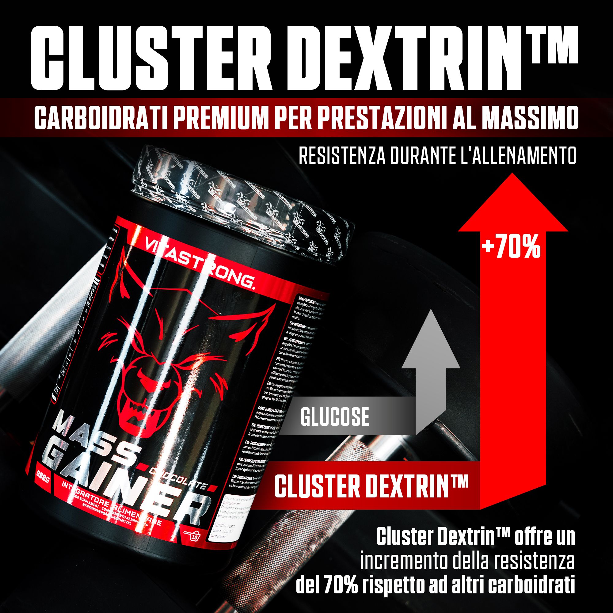 Vitastrong Mass Gainer