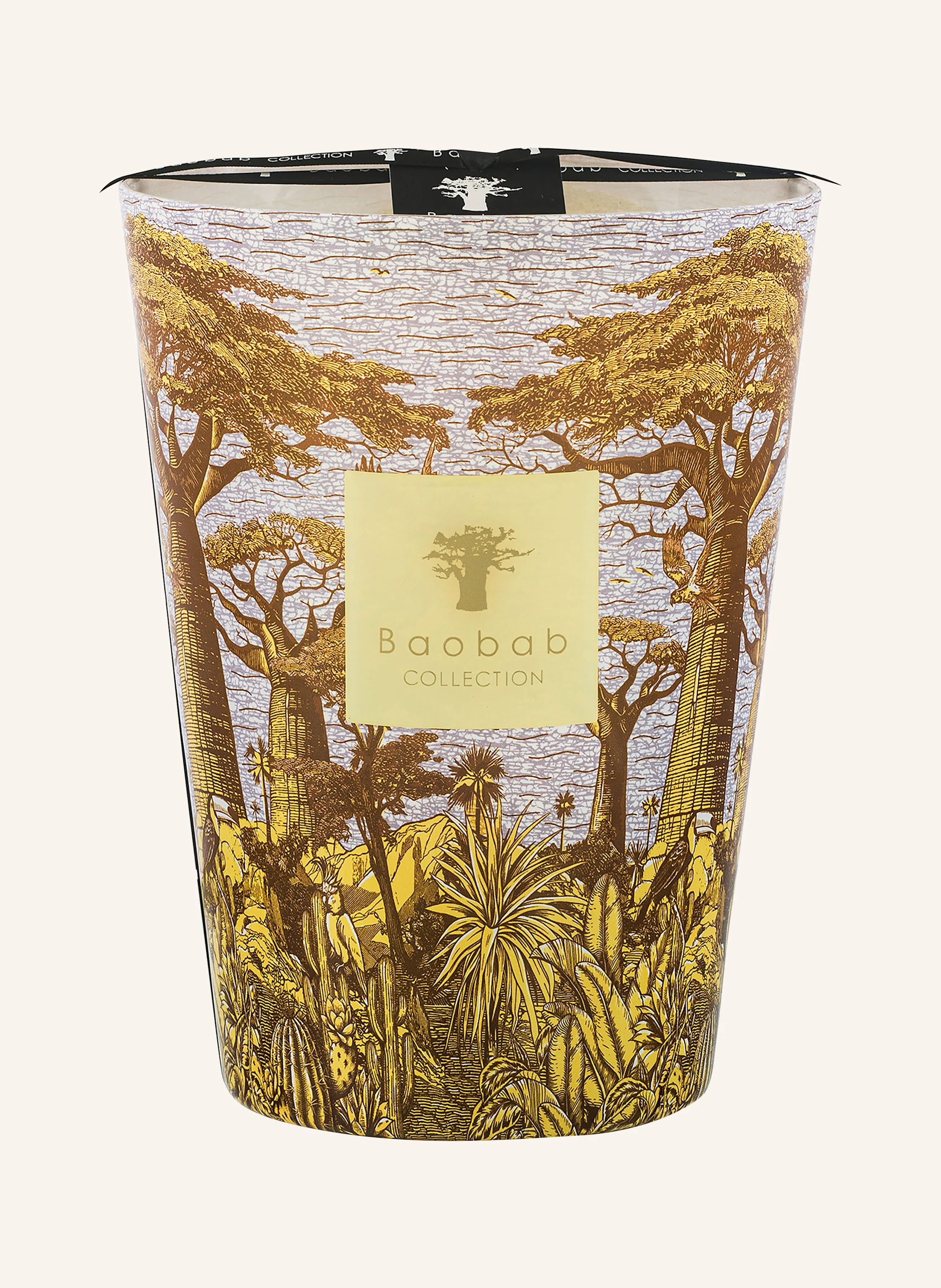 Baobab COLLECTION Duftkerze COCODY