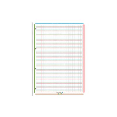 HOLDHAM - 50 feuilles mobiles Dys perforées - 100 pages - A4 - ligné 2 mm