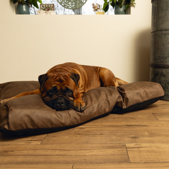 Coussin à mémoire de forme Uma