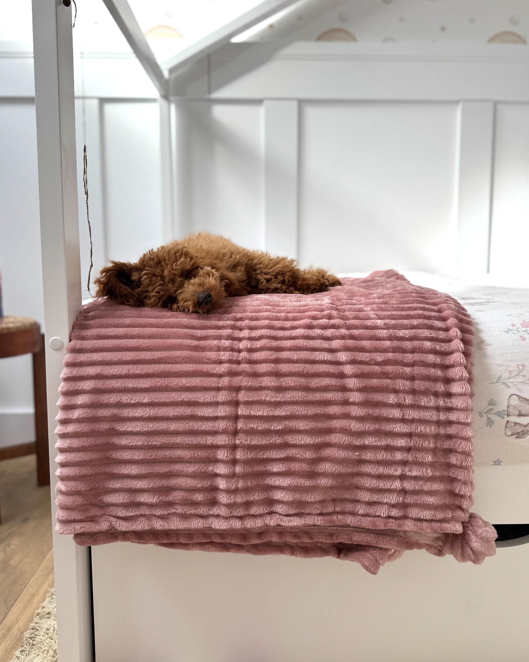 Plaid KAWERI 150 x 200 cm Roze
