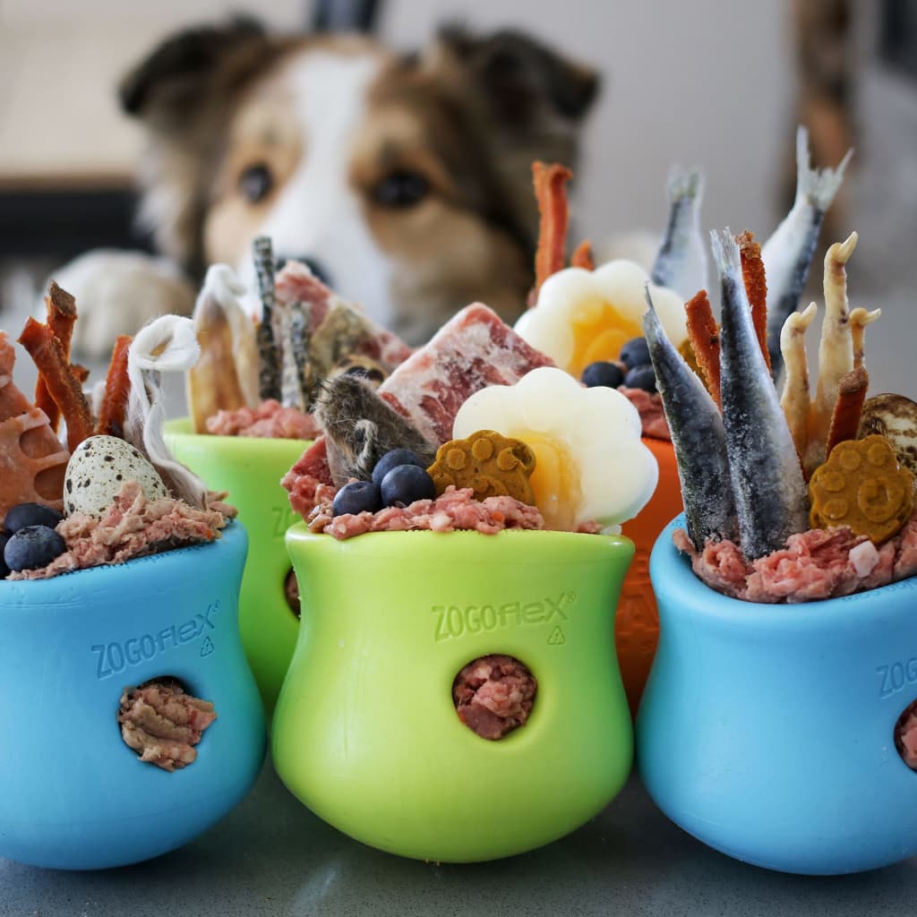 Jouet pour chiens avec zogoflex toppl aqua bleu s