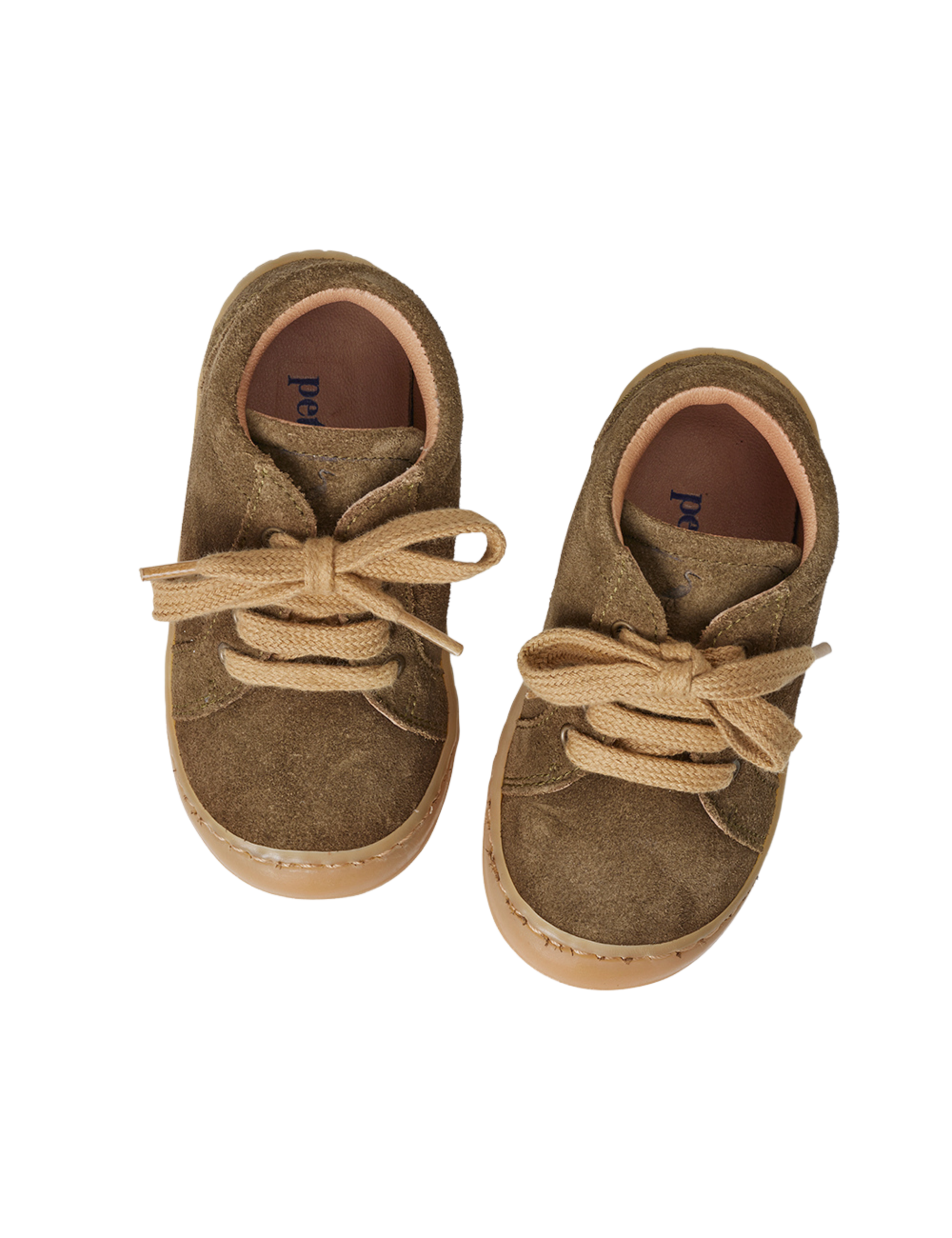 Everyday shoe Lace - Sage