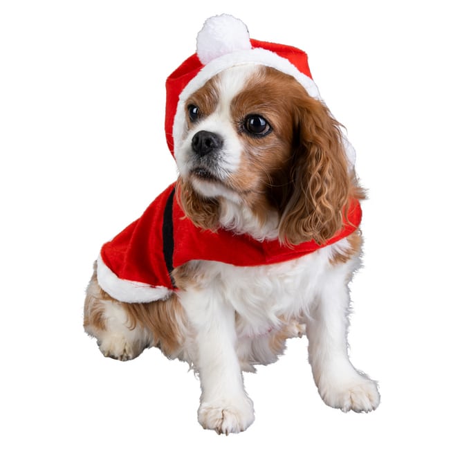 Hundezubehör - Hundekostüm Nikolaus - ca. 30 cm