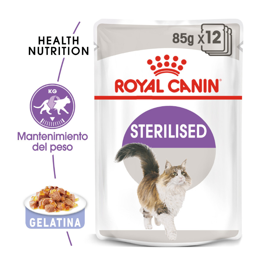 Sachês de geleia esterilizada Royal Canin para gatos