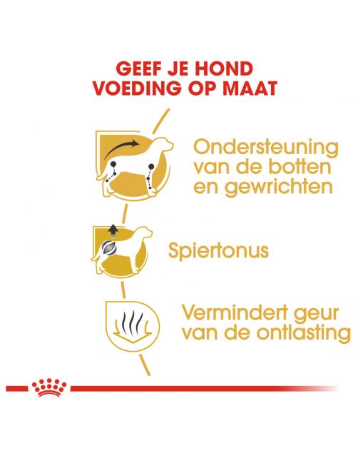 Royal Canin Dachshund Adult - Hondenvoer
