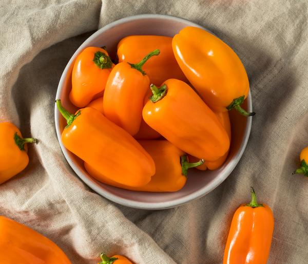 Dehner Premium Samen Mini-Paprika 'Snacking