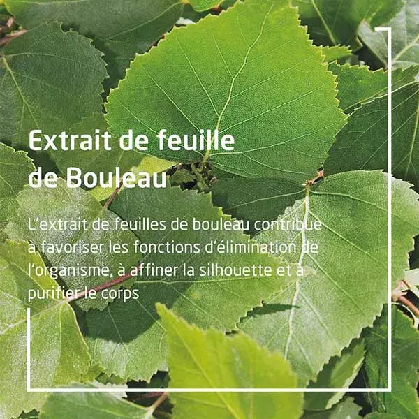 Suco de Bétula Orgânico Detox e Vitalidade Weleda 250ml