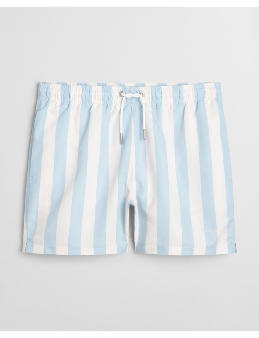 Blue Striped Swim Shorts