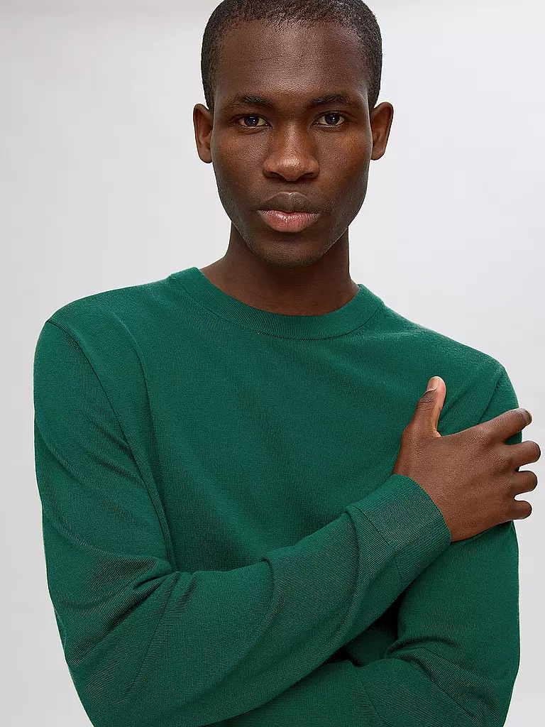 SELECTED Pullover SLHTRAY grün