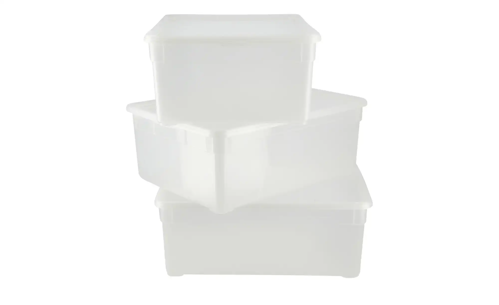 Rotho Aufbewahrungsbox, 3er Set